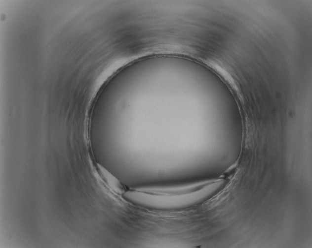 X0000087331342200705181026