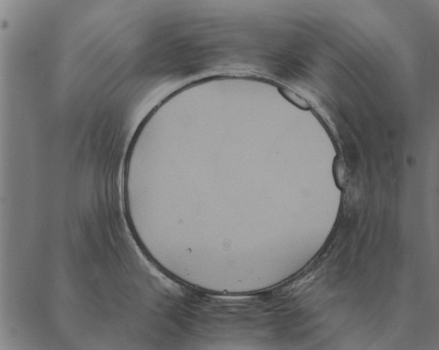 X0000087331343200705181026