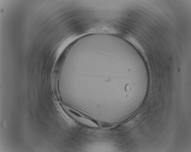 X0000087331344200705181027