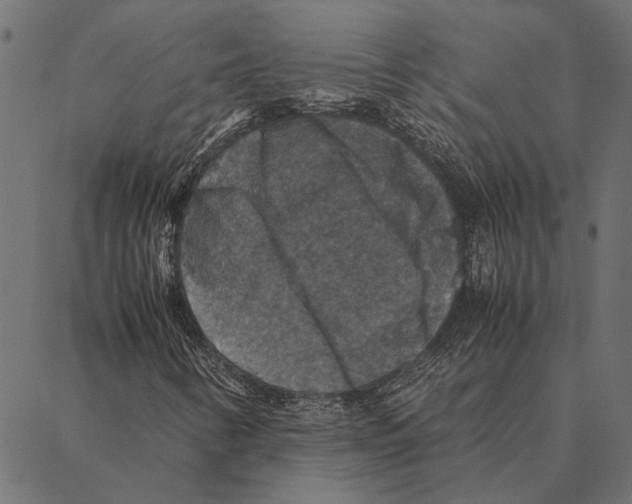 X0000087331346200705181026