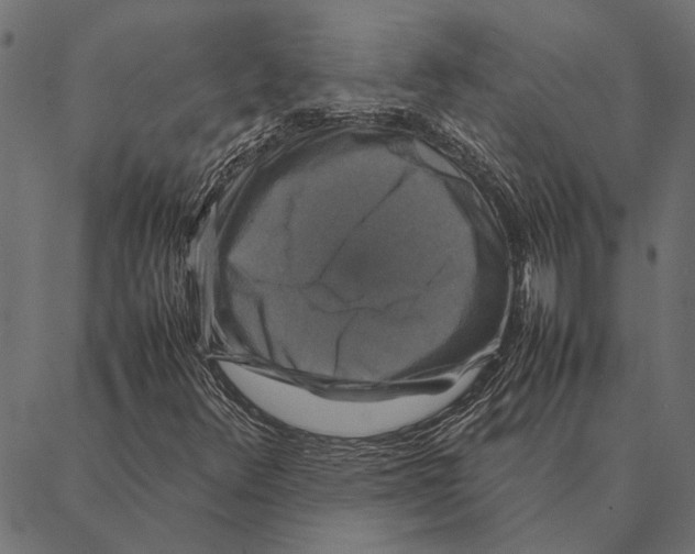 X0000087331348200705181026