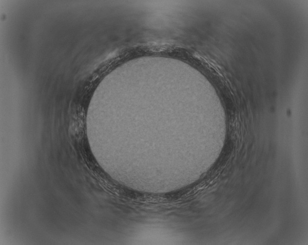 X0000087331349200705181026