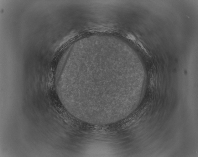 X0000087331350200705181026