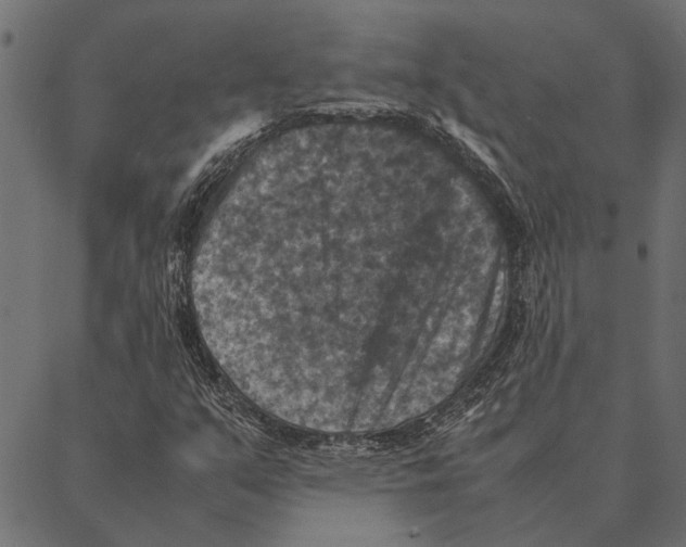 X0000087331351200705181026