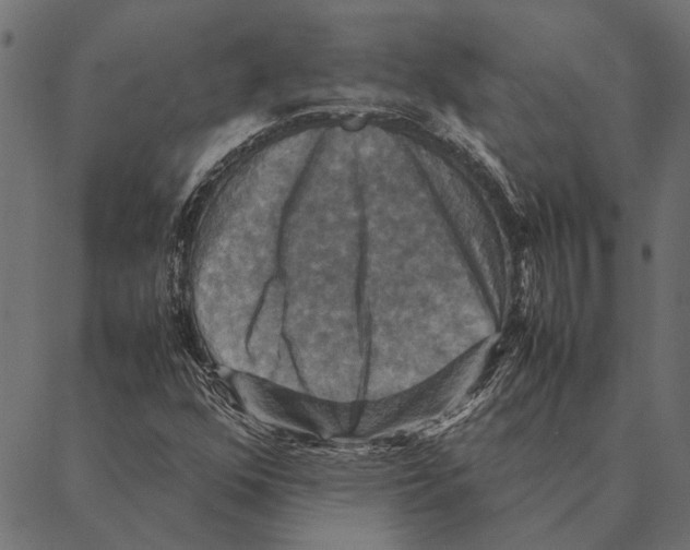 X0000087331352200705181026