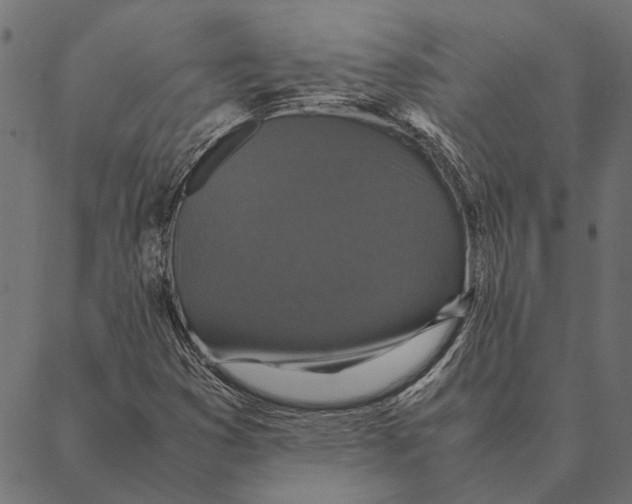 X0000087331353200705181026