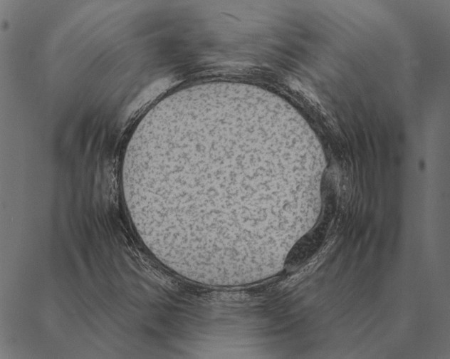 X0000087331354200705181026