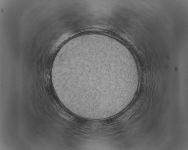 X0000087331355200705181026