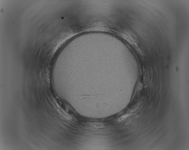 X0000087331356200705181026