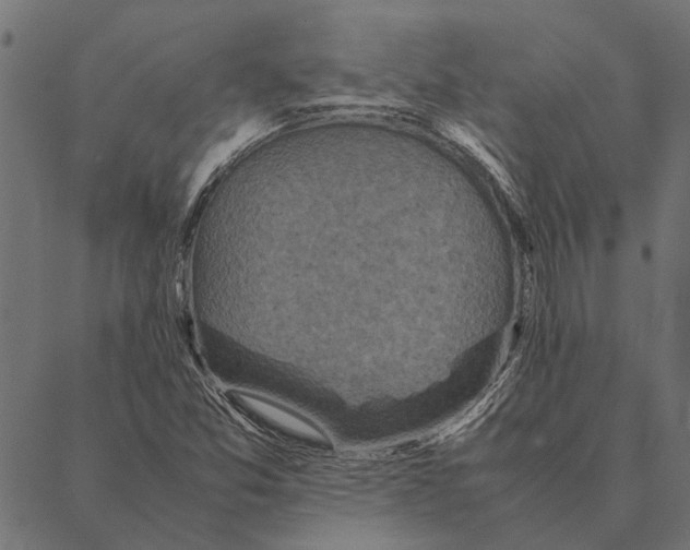 X0000087331357200705181026