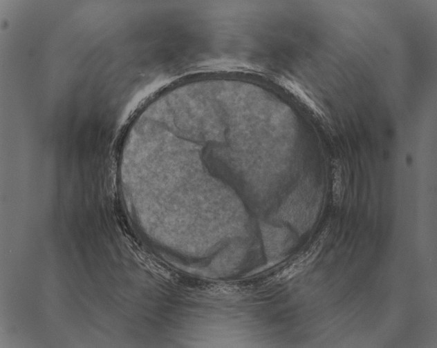 X0000087331358200705181026