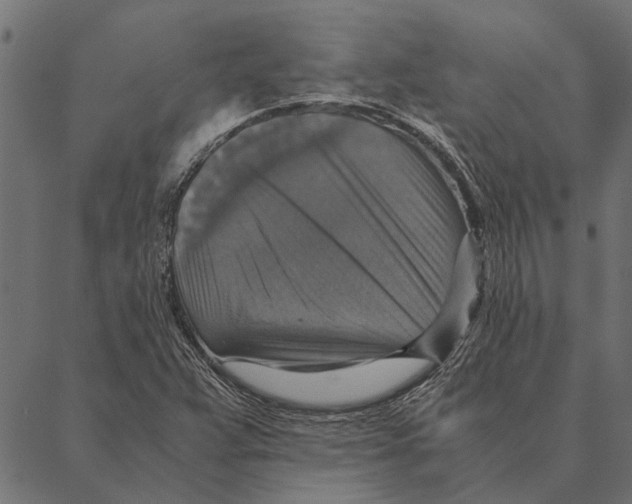 X0000087331359200705181025