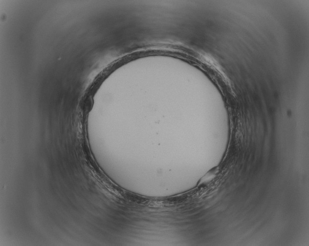 X0000087331360200705181025