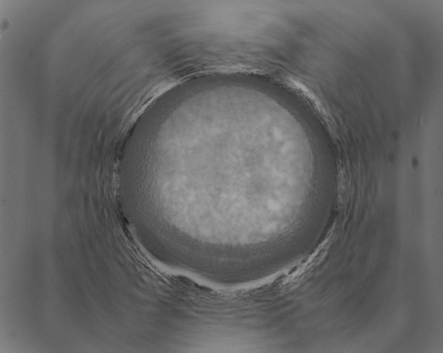 X0000087331361200705181025