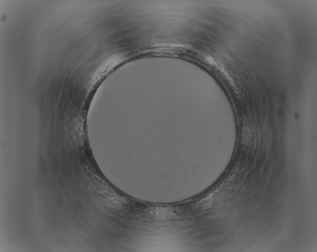 X0000087331362200705181025