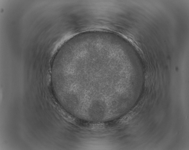 X0000087331363200705181025