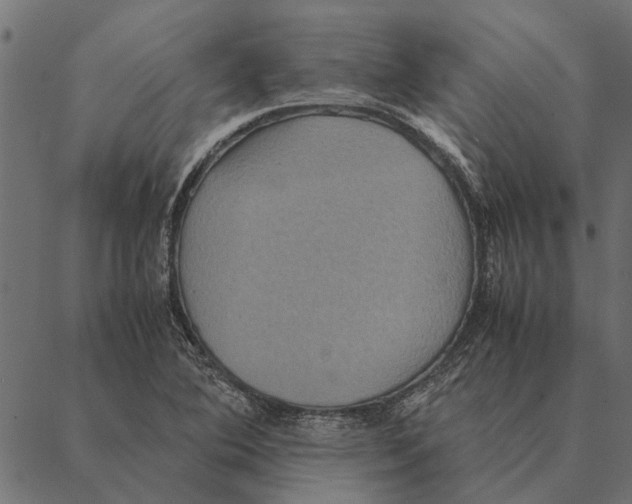 X0000087331364200705181025