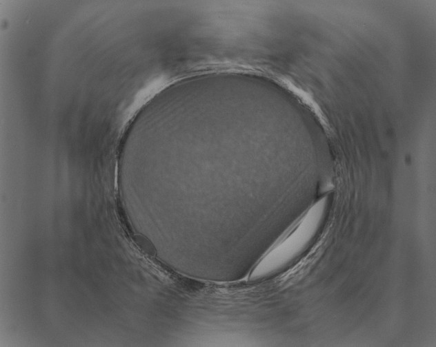 X0000087331365200705181025