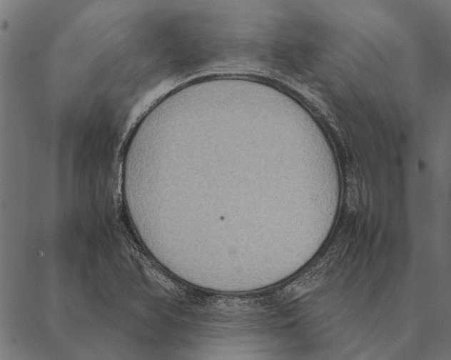 X0000087331366200705181025