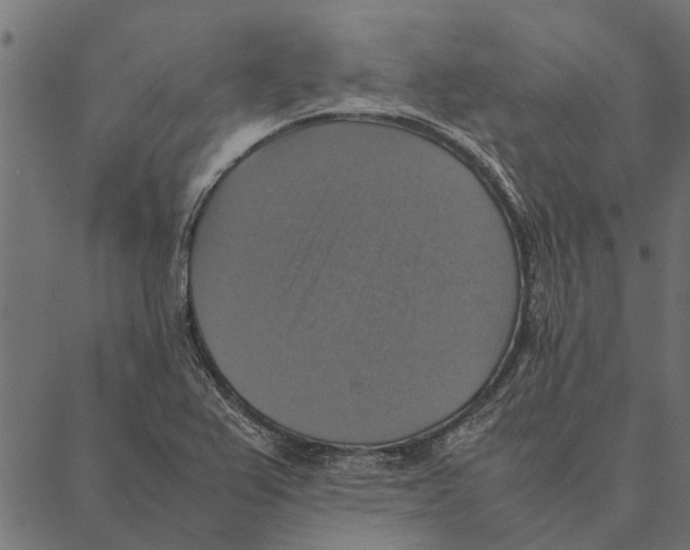 X0000087331367200705181025