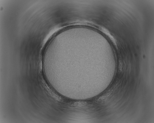 X0000087331368200705181025