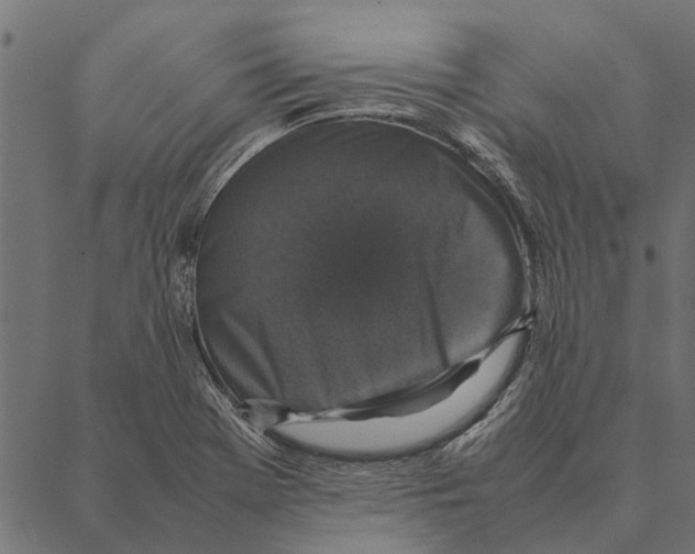 X0000087331369200705181025