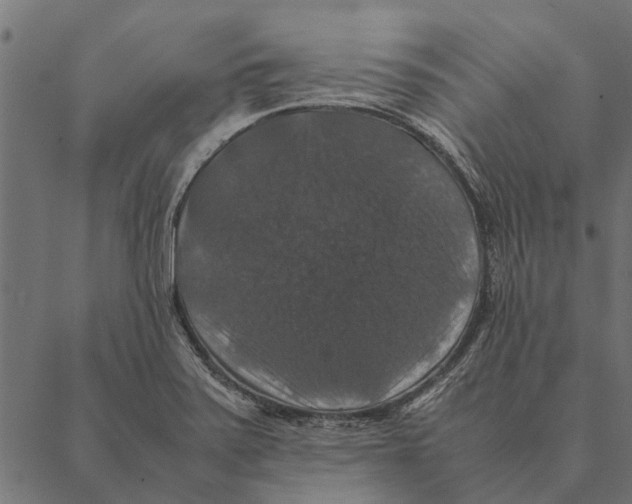 X0000087331371200705181025