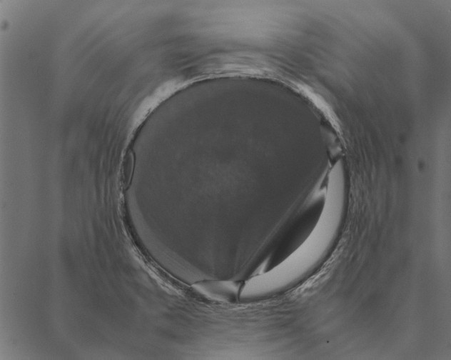 X0000087331373200705181025