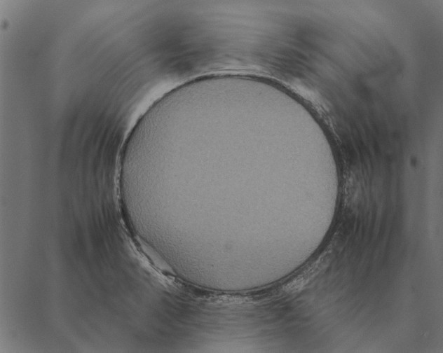 X0000087331374200705181025