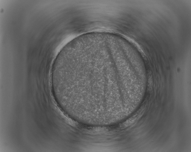 X0000087331375200705181025