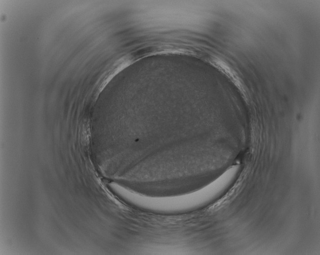 X0000087331377200705181025