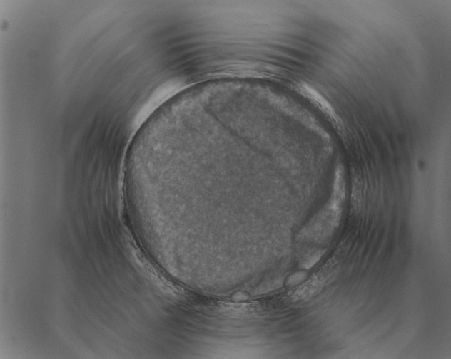 X0000087331378200705181025