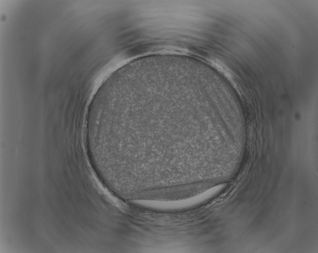 X0000087331379200705181025