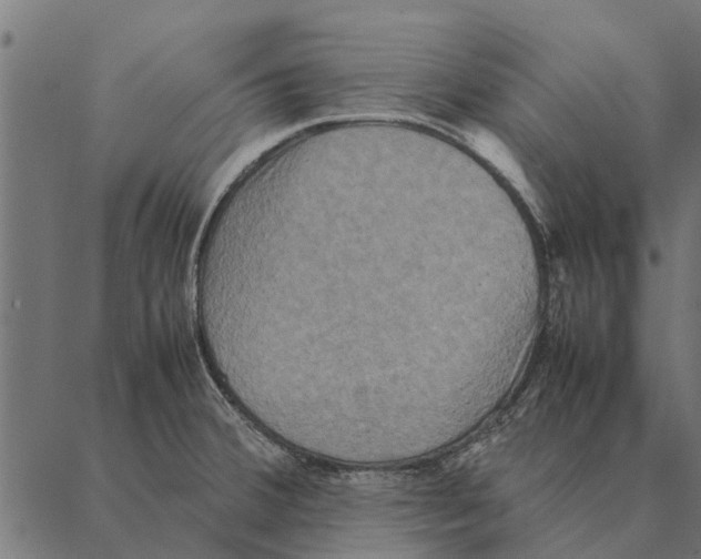 X0000087331380200705181025