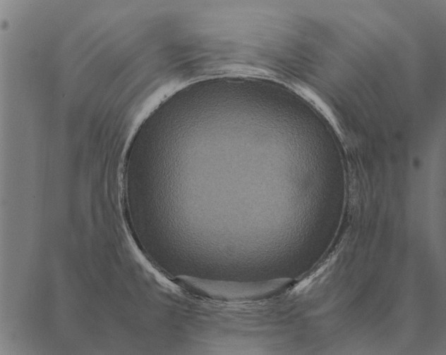 X0000087331381200705181025