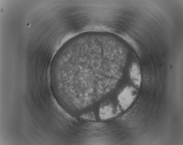 X0000087331382200705181025