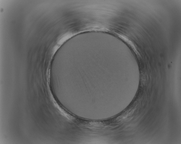 X0000087331383200705181025