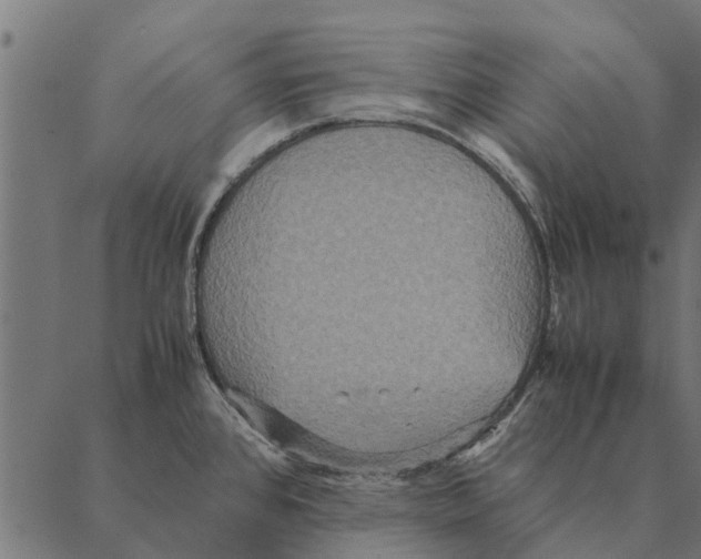 X0000087331384200705181025