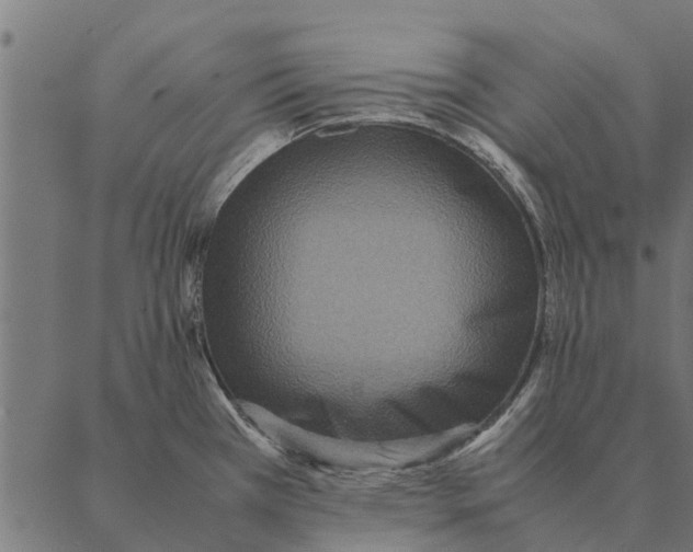 X0000087331385200705181025