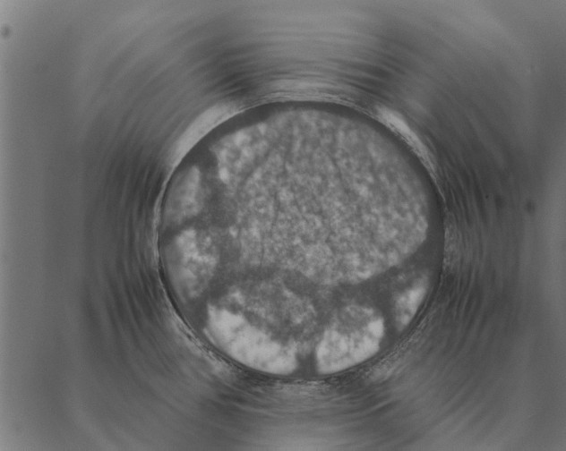 X0000087331386200705181025