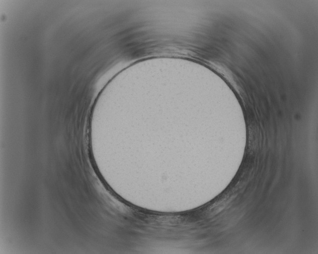 X0000087331387200705181025