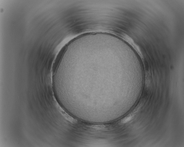 X0000087331388200705181025