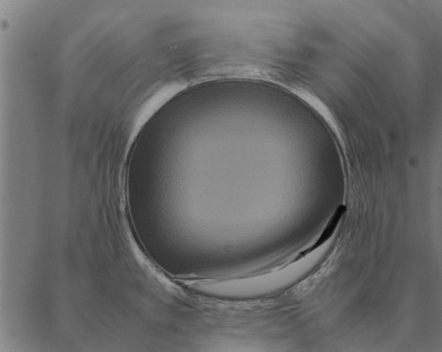 X0000087331389200705181025