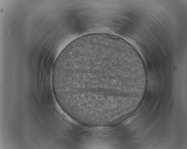 X0000087331390200705181025