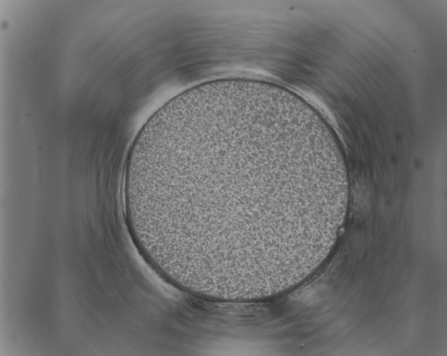 X0000087331391200705181025