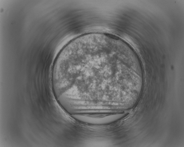 X0000087331392200705181025