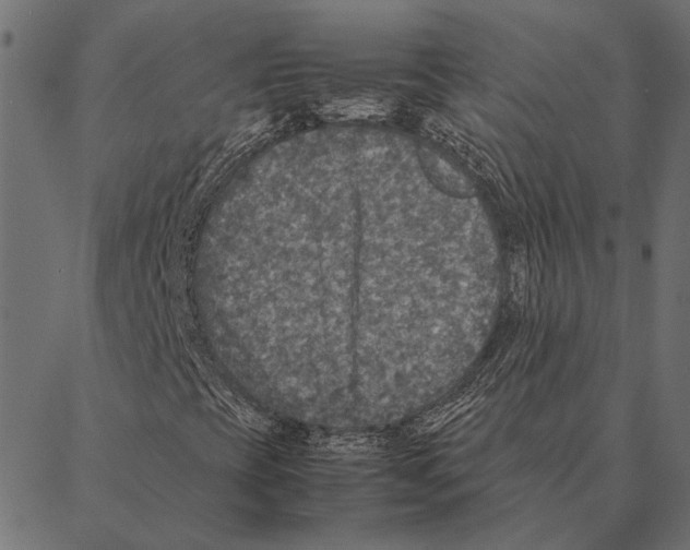 X0000087331393200705181024