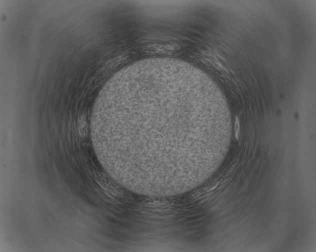 X0000087331395200705181024