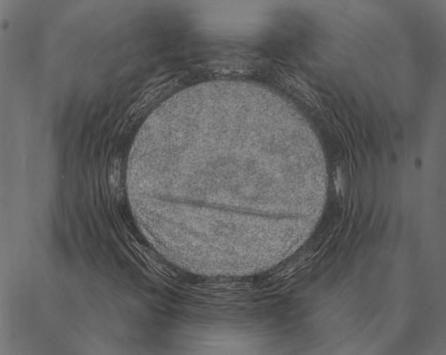 X0000087331396200705181024