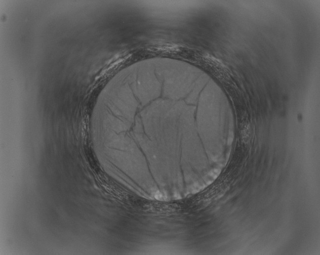 X0000087331397200705181024